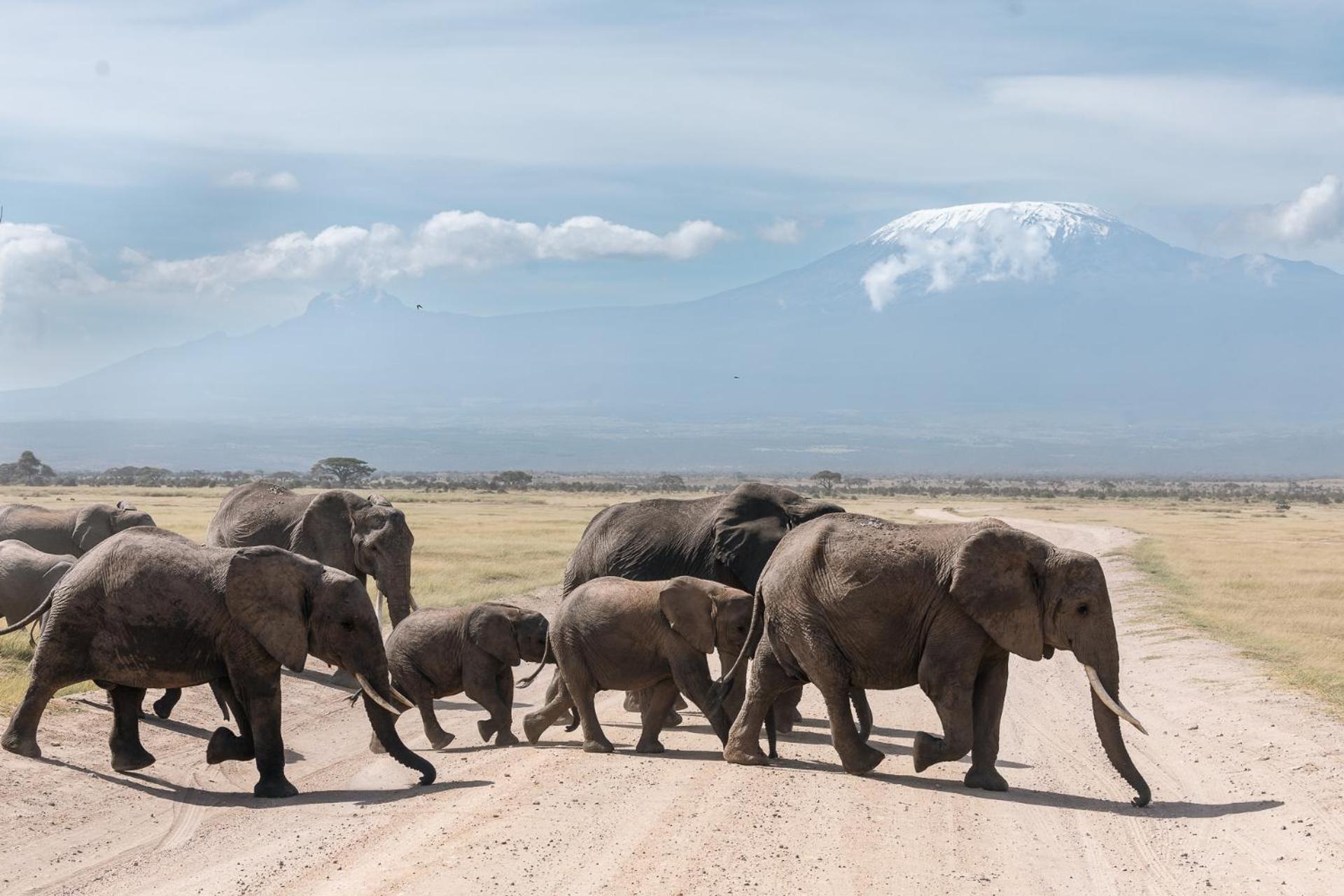Kilimanjaro View Cabin-Amboseli Oloitokitok Zimmer foto
